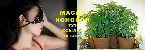 амф Новозыбков