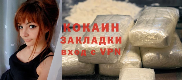 амф Новозыбков