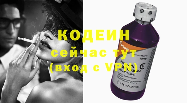 амф Новозыбков