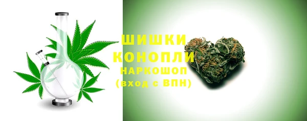амф Новозыбков