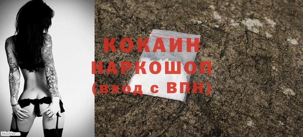 амф Новозыбков