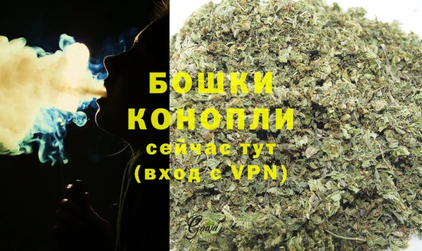 амф Новозыбков