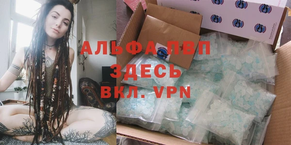 ГАЛЛЮЦИНОГЕННЫЕ ГРИБЫ Новодвинск